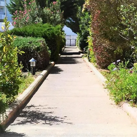 Oasis דירה